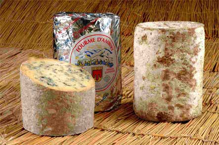 Tout savoir sur les fromages(suite) Bc5d5baa