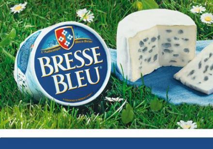 Tout savoir sur les fromages(suite) C47877a1