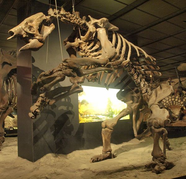 Animaux préhistoriques -Diprotodon - Chalicotherium -et autres(photos,textes...) Paresseux-geant-1757b8f