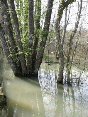 Parcs, réserves... - La Corse - Reipdvii