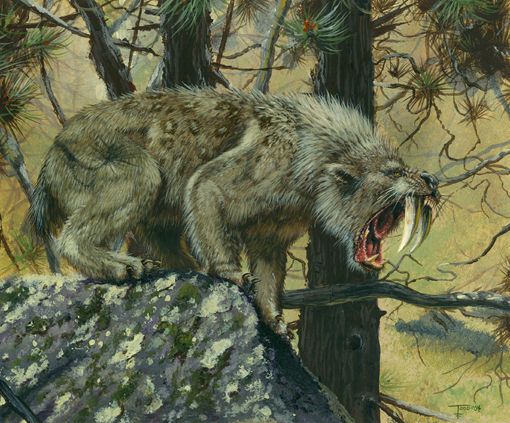 Animaux préhistoriques -Diprotodon - Chalicotherium -et autres(photos,textes...) Smilodon-1758b2f