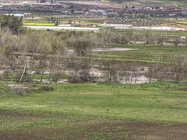 Desbordamiento de los cauces de los arroyos Pusa y Cedena a su paso por Malpica de Tajo Crecipusa