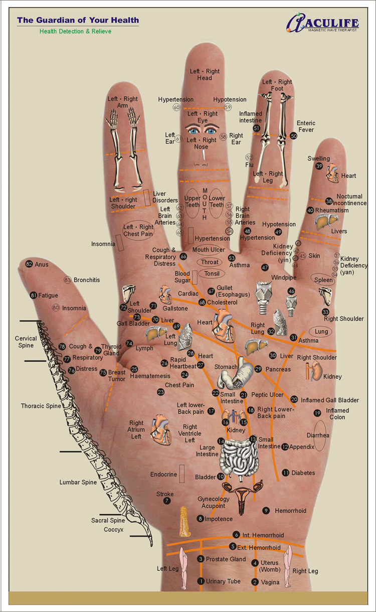 Hand/brain spacial relationships? Handmap-A-large