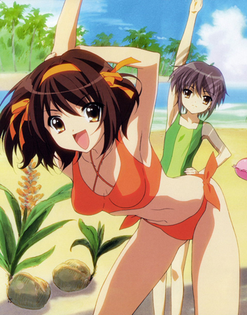 Classement divers Haruhi-Suzumiya