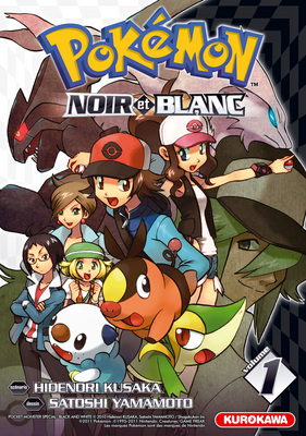 Classement divers Pokemon-noir-blanc