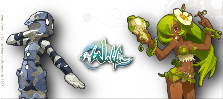 Wakfu l'animé Wakfu