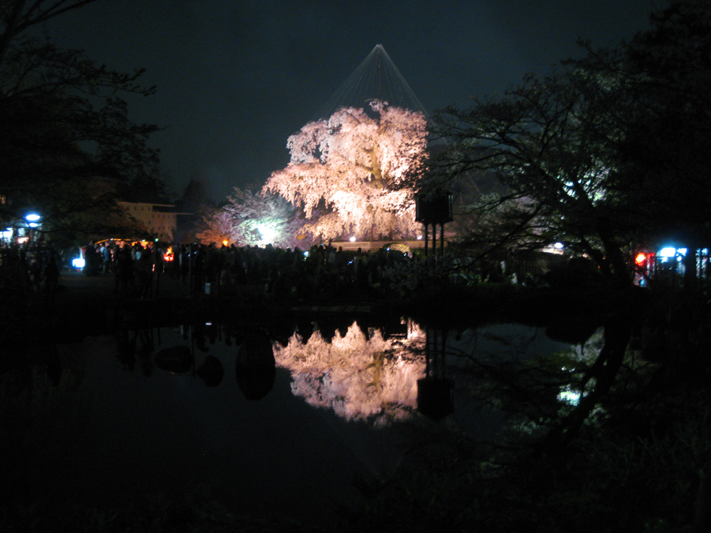 Cherry Blossom Festival Flash Fiction Challenge Maruyama4