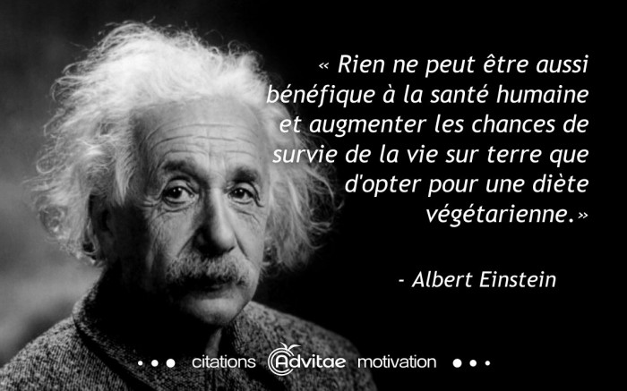 Végétarisme - Page 2 Einstein_sante_vegetarien