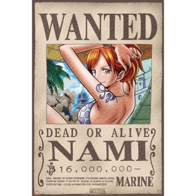 Nami     3039467487_1_3_HU4gHJjO