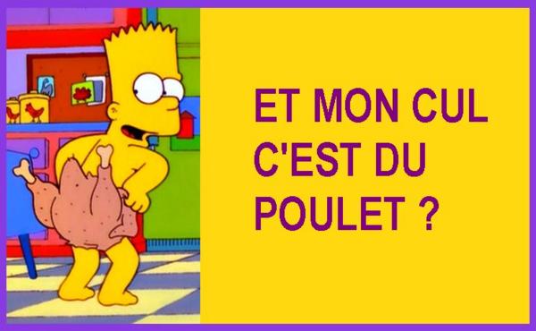 Championnat de Foot Ligue 1 - Saison 2016-2017 - Page 15 Les-Simpson-Barth-Et-mon-cul-cest-du-poulet