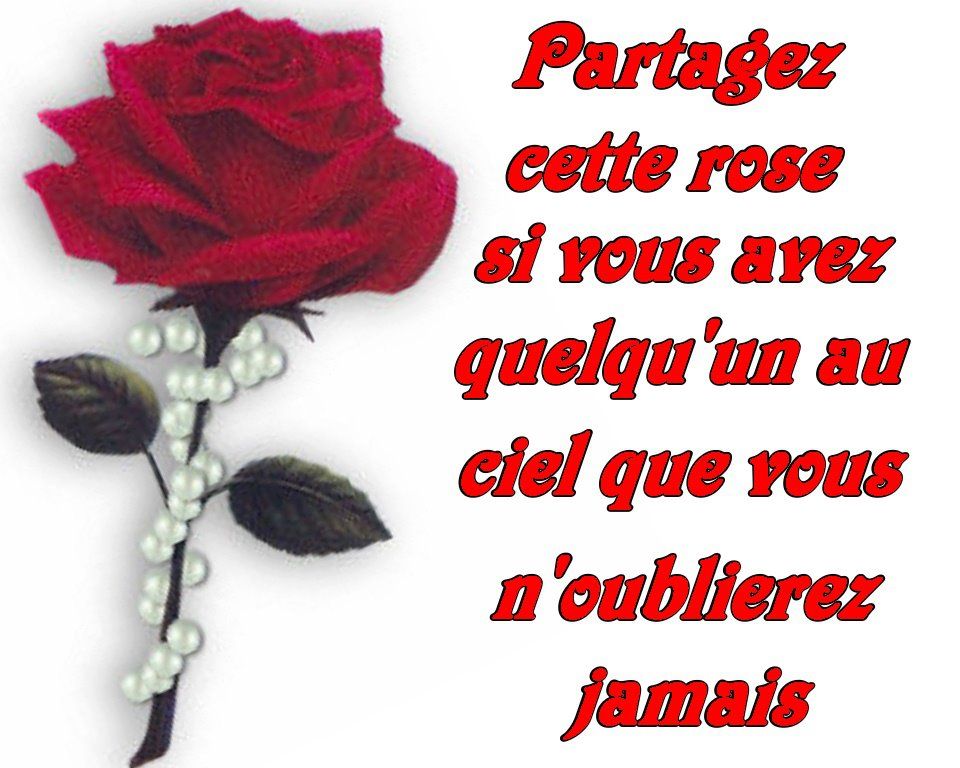 Citations diverses 1b33da59_1