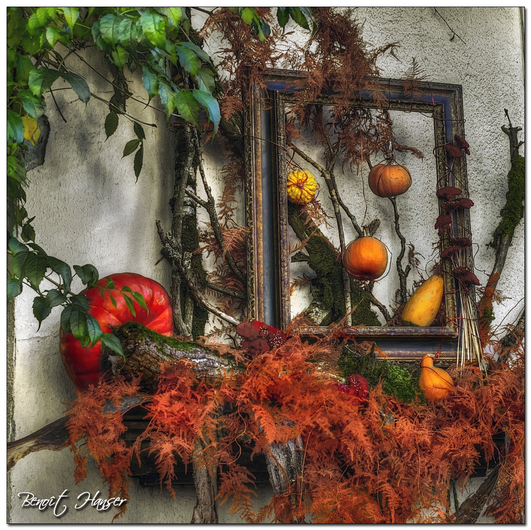 Tableau d'automne 531a55c1a5ac1c3e5579