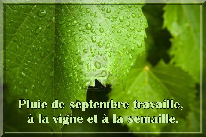 dictons de septembre - Page 2 Ee4542408d5d33012ff4