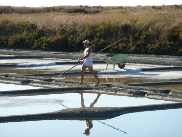 mes photos de vitré+de guerande+autres 9c390fa1