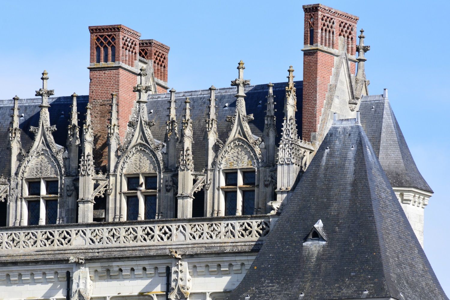 chateau de chambord +chateau d'amboise+Eglise + villandry+chateau de blois _DSC1709