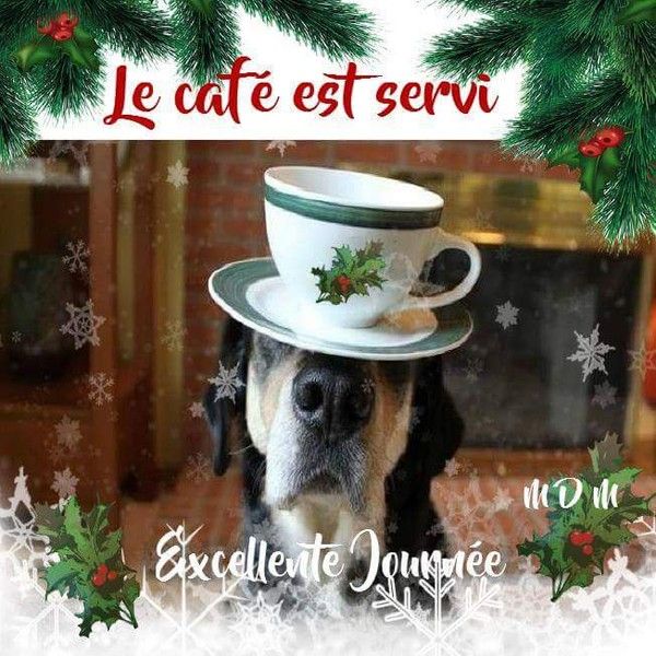 Joyeuses Fêtes de Noel A5299e3c