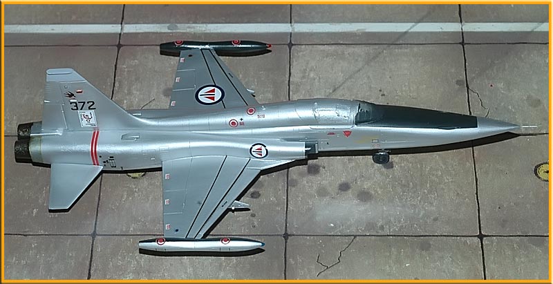 Northrop F-5A Freedom Fighter [ESCI] 1/72 (nf5a) - Page 4 Photo050