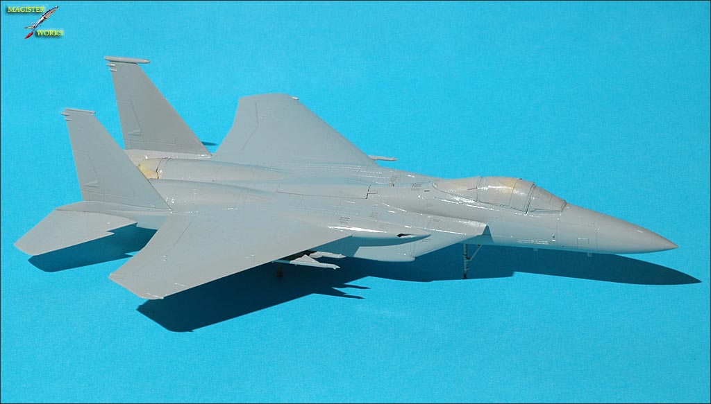 F-15J Hasegawa 1/72   - Page 2 Photo28