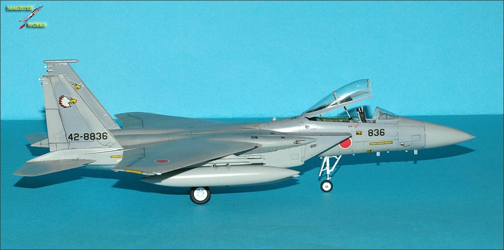 F-15J Hasegawa 1/72   - Page 3 Photofinal02