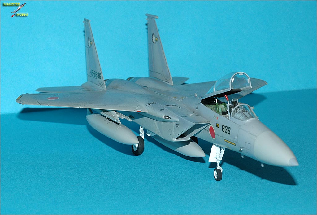 F-15J Hasegawa 1/72   - Page 3 Photofinal05