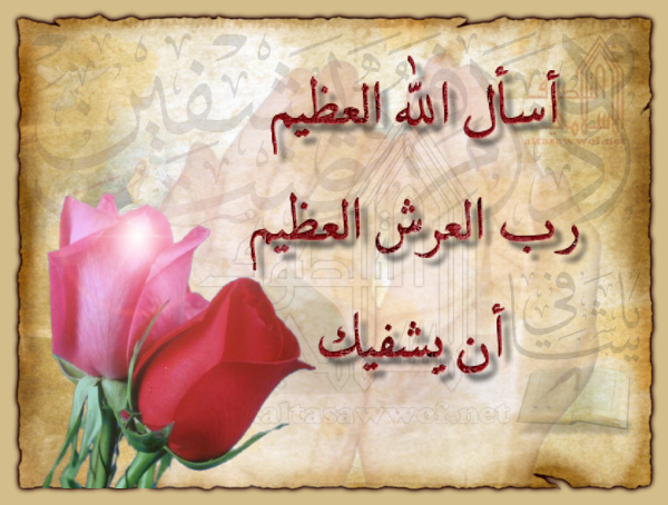 سلامات لرضا ابن صمت الهدوء File_b1519a9d84_988888