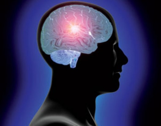 اسوء عشرة افعال تؤذى مخ الانسان 0head_and_brain