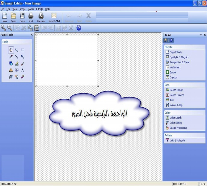 SnagIt 9.1.2 Build 304  احد أشهر وأفضل البرامج في مجال انشاء الشروحات N217