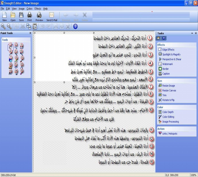 SnagIt 9.1.2 Build 304  احد أشهر وأفضل البرامج في مجال انشاء الشروحات N219