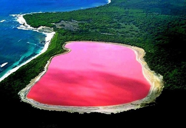 بحيرة هيلير بلونها الوردي الغريب Lake-Hillier-1