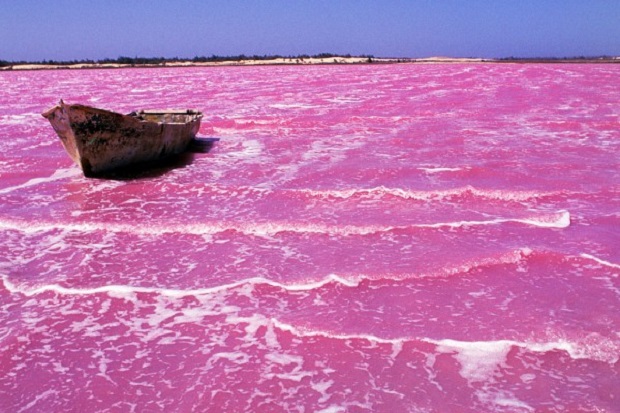 بحيرة هيلير بلونها الوردي الغريب Lake-Hillier-4