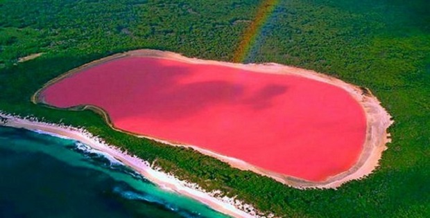 بحيرة هيلير بلونها الوردي الغريب Lake-Hillier-5