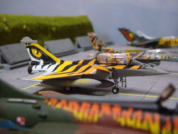 [Revell] 1/144 Rafale "B" Tigermeet 2009 F_4697986_1