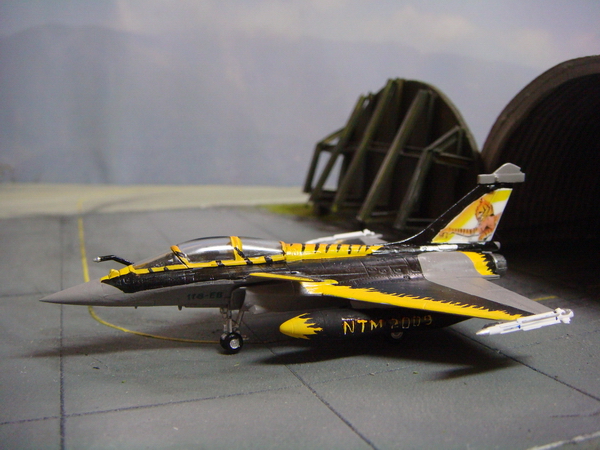 [Revell] 1/144 RAFALE B NATO TIGERMEET 2009 F_5660002_1