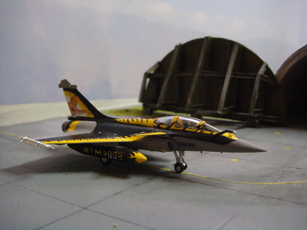 [Revell] 1/144 RAFALE B NATO TIGERMEET 2009 F_5660010_1