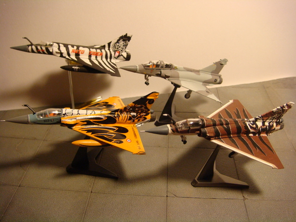 [F-TOYS] 1/144 NATO Tigermeet 2010 Mirage 2000 F_5785160_1