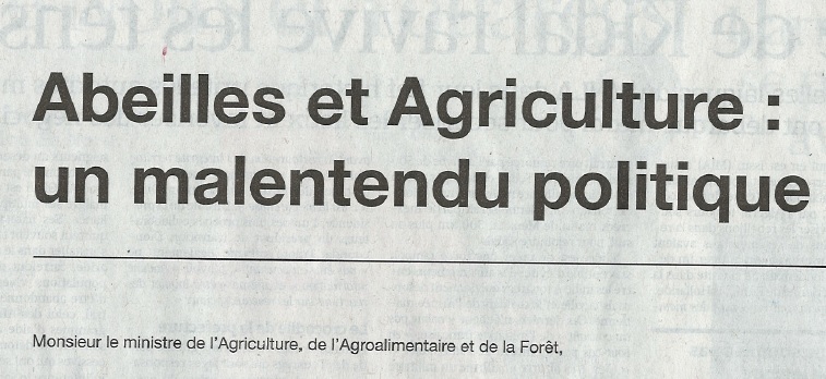 Les abeilles, témoins du bon état de notre environnement, disparaissent massivement Lefigaro