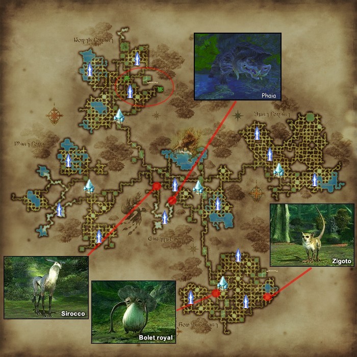 [Carte] Emplacements des Monstres Célèbres Foret_de_Sombrelinceul_map_nm