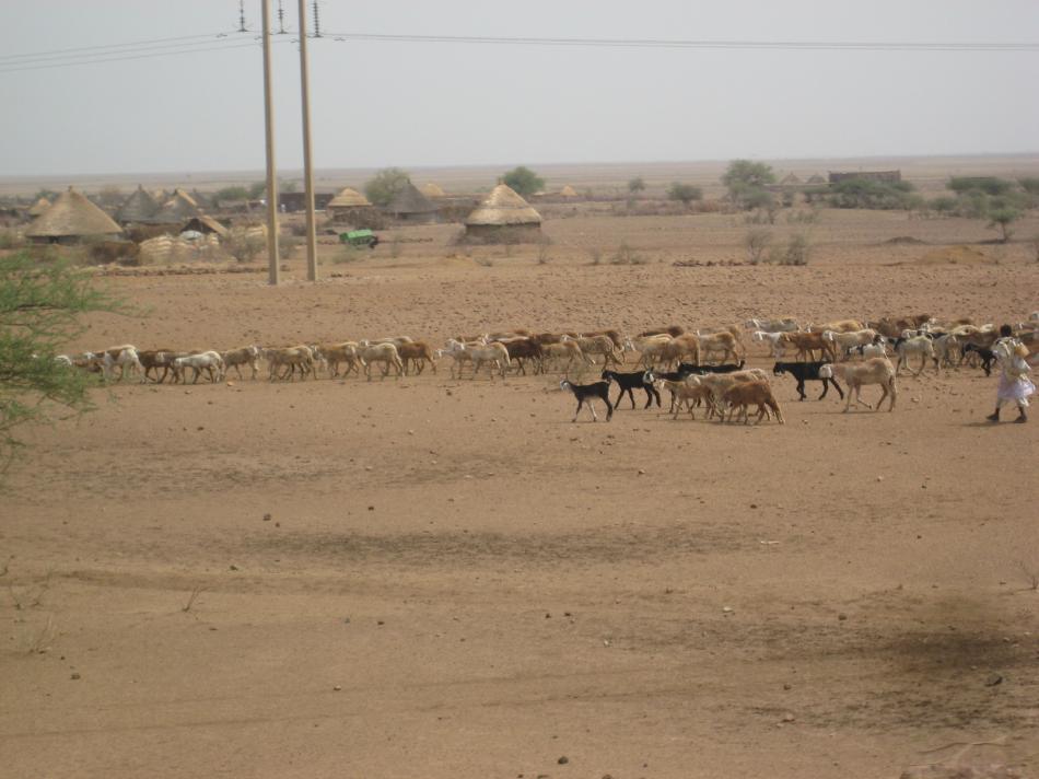 جولة سياحية فى اعماق الريف السودانى Nnn