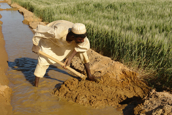 جولة سياحية فى اعماق الريف السودانى DSC06681