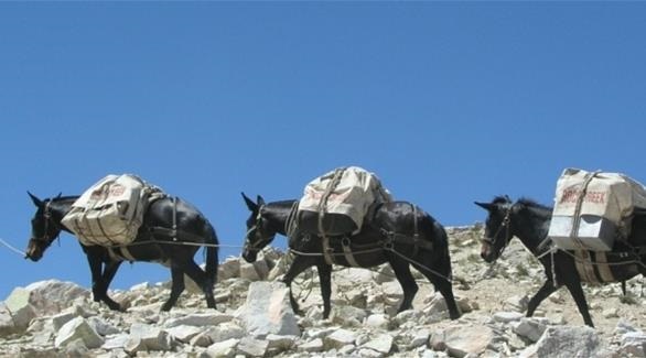 الجيش العراقي خلال حركات إنفصال كردستان في العهد الجمهوري الثالث/تحقيق اللواء المتقاعد فوزي جواد هادي البرزنجي  Bagall