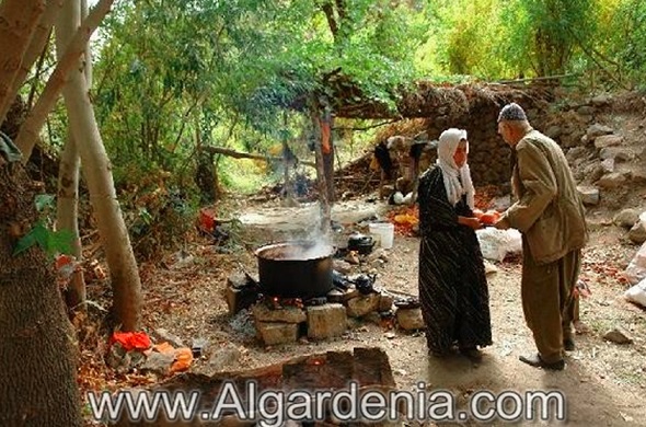 الجيش العراقي خلال حركات إنفصال كردستان في العهد الجمهوري الثالث/تحقيق اللواء المتقاعد فوزي جواد هادي البرزنجي  Jamh.2C