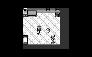 Pokemon Maker dédicace à RPG Créative [news:10/06/08] Screenshot_no3