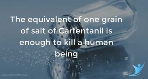 SPRING'S -9- AUG = Rocket Attacks AGAINST Israel- 24 Hours= Gaza - ONGOING Thursday & Chemical Weapon To Kill Every Person In North America Carfentanil