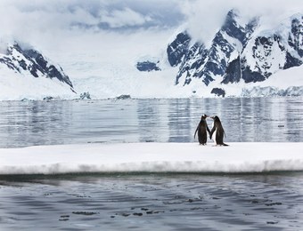 ANTARCTICA UPDATE: …Disclosure: The Ties Between Antarctica and Mars: Steve Quayle Antarctic_love
