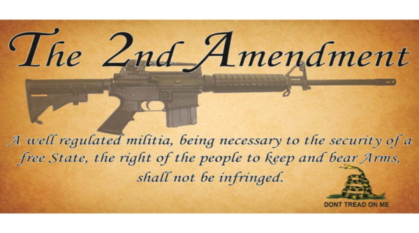 Totalitarian Moves Being Made By US Politicians Are Why Law-Abiding American Gun Owners Should NEVER Just Give Up Do_not_tread_on_me