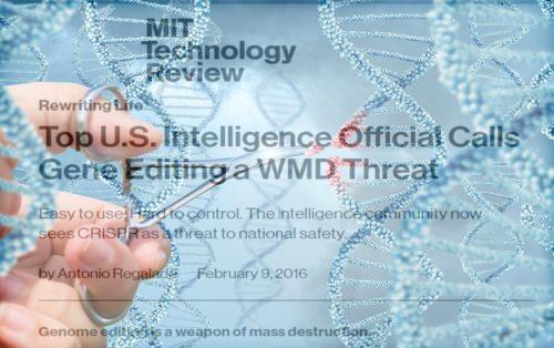 SPRING'S 12-15-17 !GENE EDITOR "WMD" CRISPR! & HEALTH RANGER GARDEN vs YOUTUBE FLORIDA! & !!!Assange Warns of Coup to Install Pence as POTUS !! &   Gene_editing_wmd