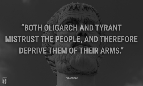 Be Aware Next Week In Virginia! Signs Point To A 'Dark State Trap' To Demonize The 2nd Amendment & Disarm Americans As 2020 Becomes 'Do Or Die' For Globalists Imageedit_1_5588784903