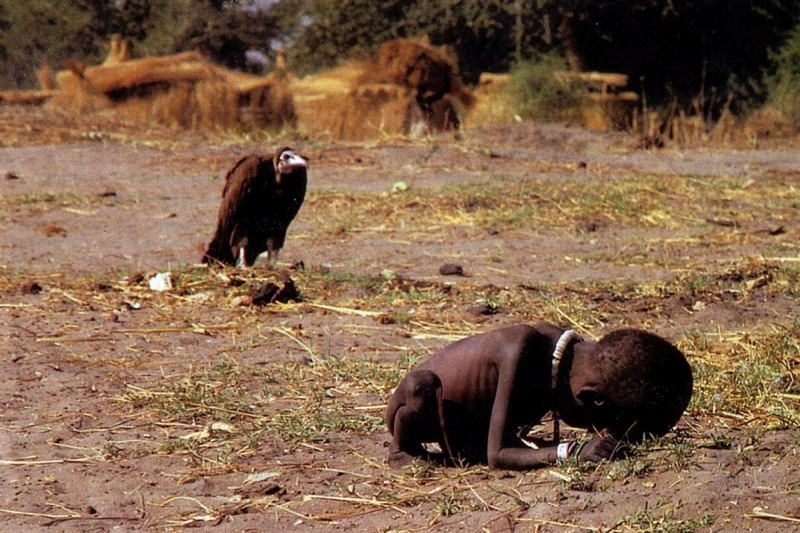 Gužva na Šolti: "Crkva mi je otela teren i prodala ga!"  Kevin-carter-vulture