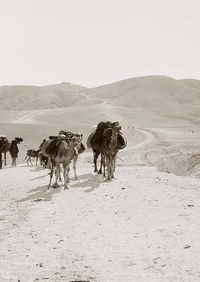 لبيك اللهم لبيك_إحتفالية الحج_لوحةفنية Caravan-desert