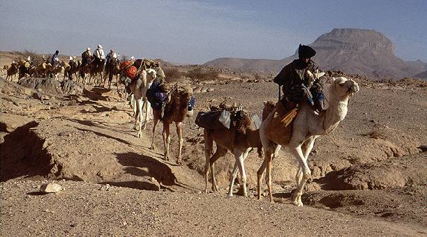 الحج Camel_caravan